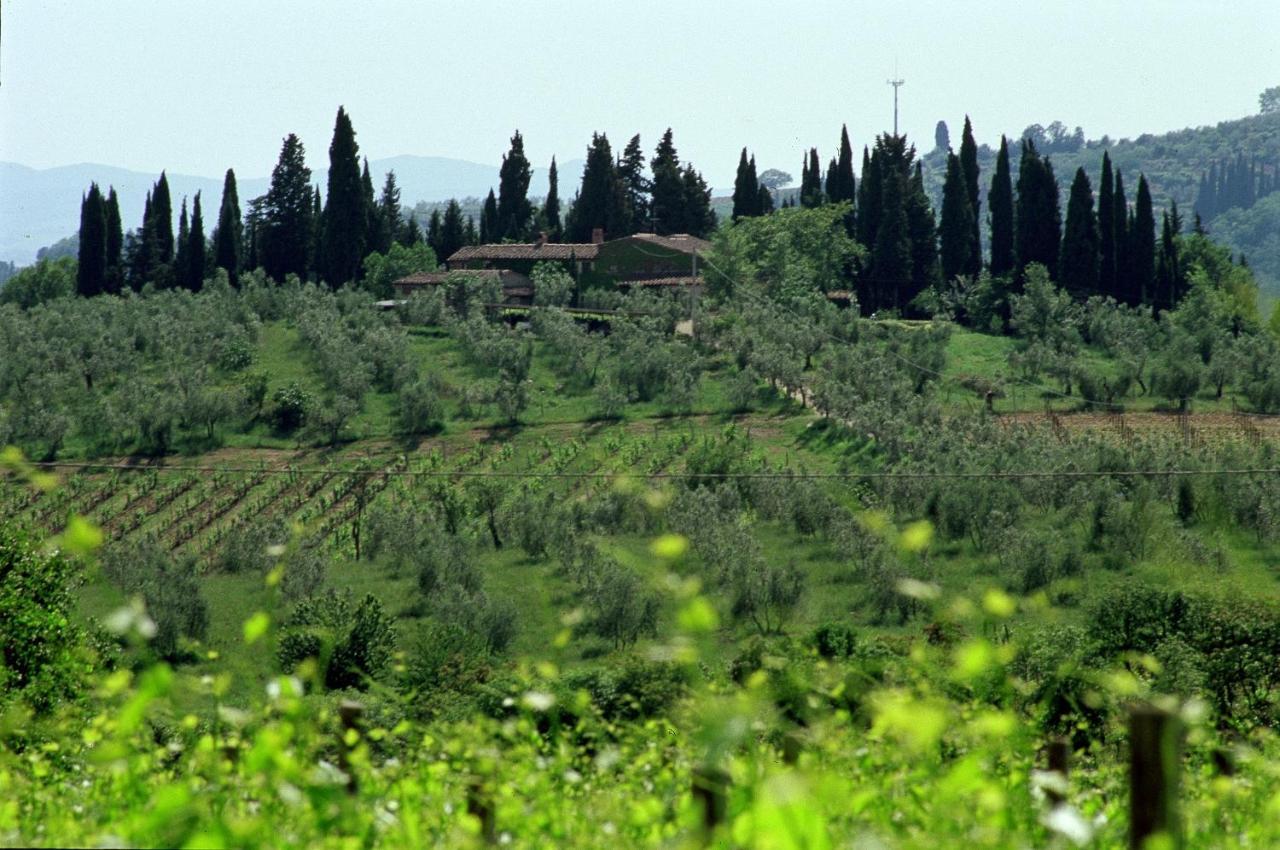 Fattoria Casa Sola Casa de hóspedes Barberino di Val dʼElsa Exterior foto