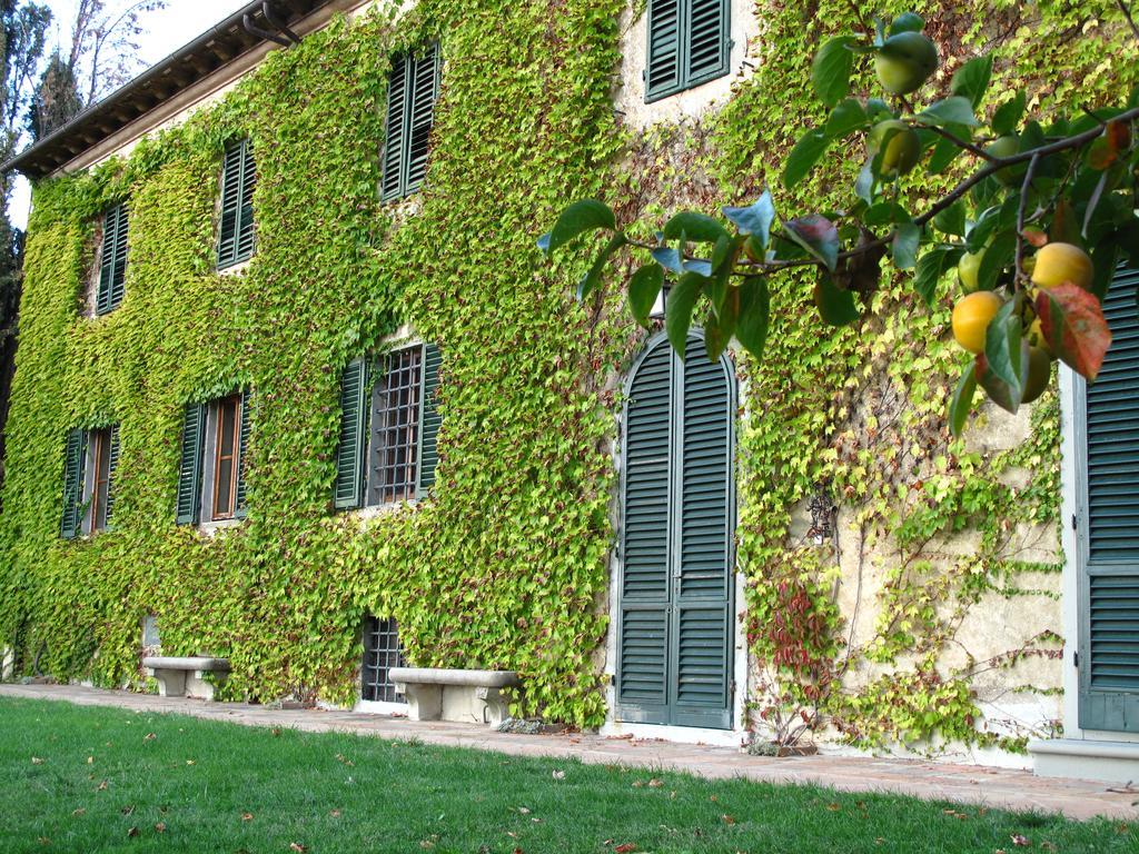 Fattoria Casa Sola Casa de hóspedes Barberino di Val dʼElsa Exterior foto