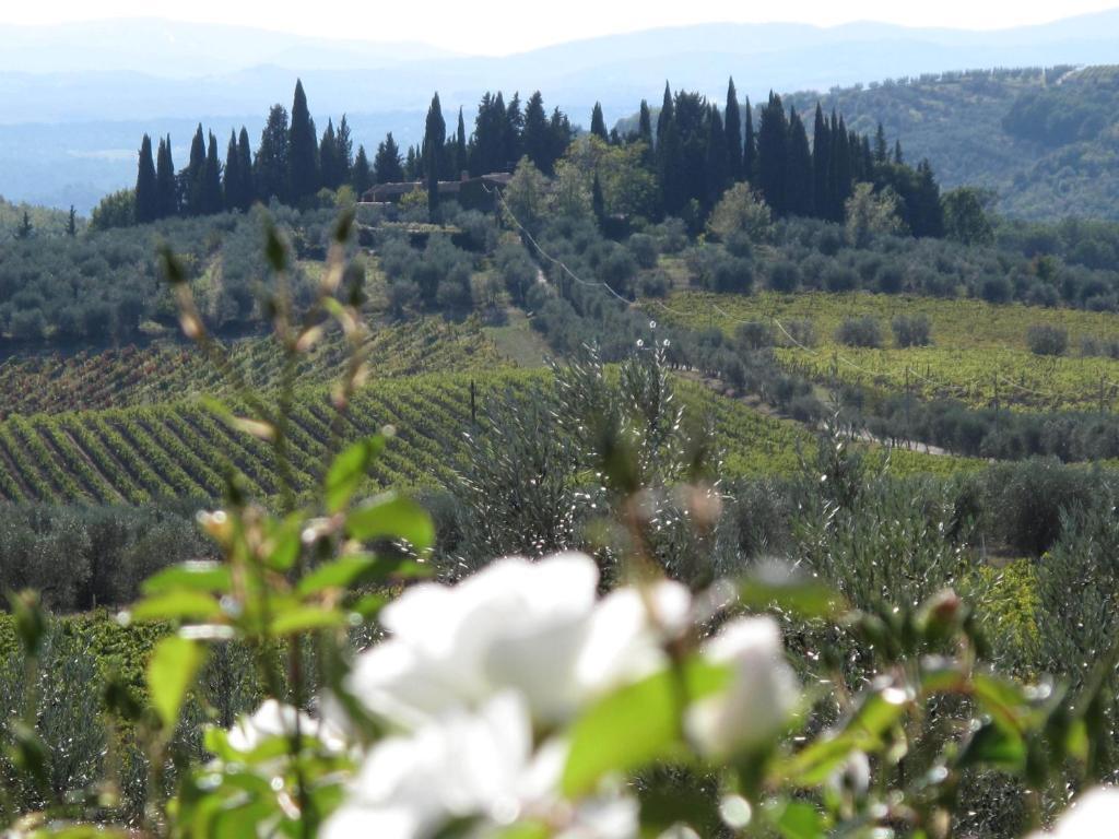 Fattoria Casa Sola Casa de hóspedes Barberino di Val dʼElsa Quarto foto